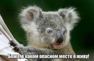 В Австралии смертельно опасная змея спряталась в штанах рыбака