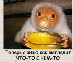 мама мия