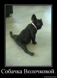 Он, она и её нога. Волочкова растянулась на казахском поэте