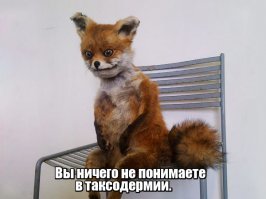 Студент-дизайнер к Пасхе сделал тостер из мертвого кролика