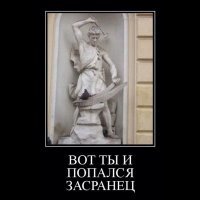 Эти загадочные голуби