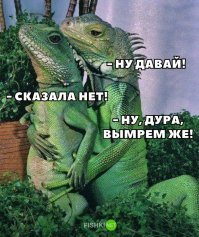 держи