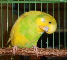 А чего сразу о грустном-то?