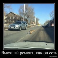 Подборка автомобильных приколов