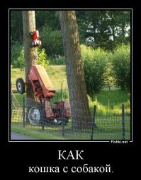 Подборка автомобильных приколов