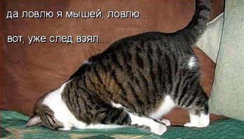 6 крутых способов заработать, не покупая биткоины