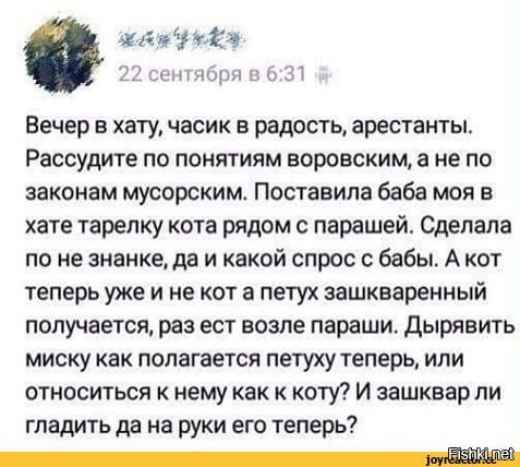 Мама, айм нот криминал!