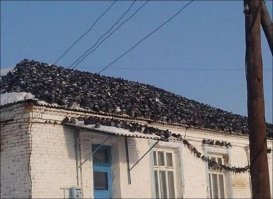 Эти загадочные голуби