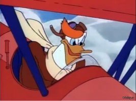 Были бы крылья..