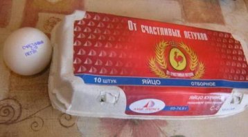 Любимые вы наши, будьте как картинки!
Мы поздравляем старших паханов!
Всем вам мы высылаем валентинки
С любовью: