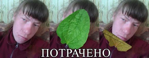 До и после: 19 блестящих примеров макияжа, на которые надо смотреть каждой девушке