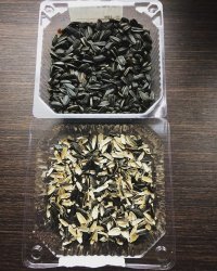 Это очень плохая идея.
Лоток легкий, зацепиться за краешек проще простого. 1 секунда и ты и пол весь в шелухе
Лучше лузгать в глубокую тарелку или в контейнер из плотного пластика