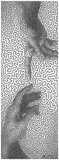 Талант и черно-белые рисунки, от которых кружится голова