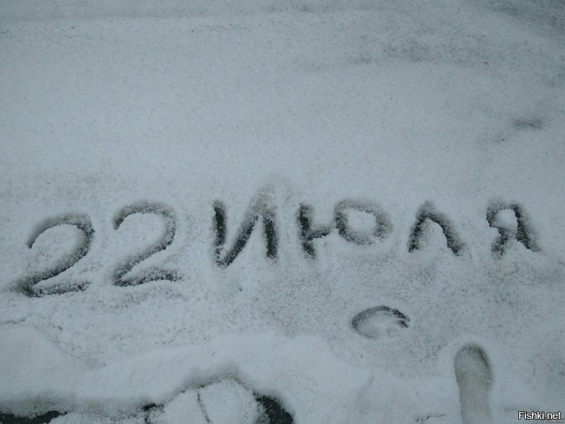 Да что там весна...