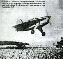 Пара самолетов Александра Сергеевича Москалева
САМ-9  Стрела  и САМ-13