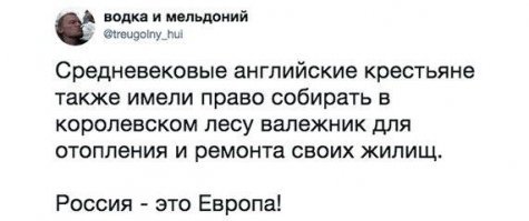 Россиянам разрешили собирать дровишки в лесу 