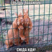 Подборка прикольных картинок