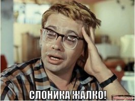 В Испании перевернулся грузовик, в котором перевозили цирковых слонов