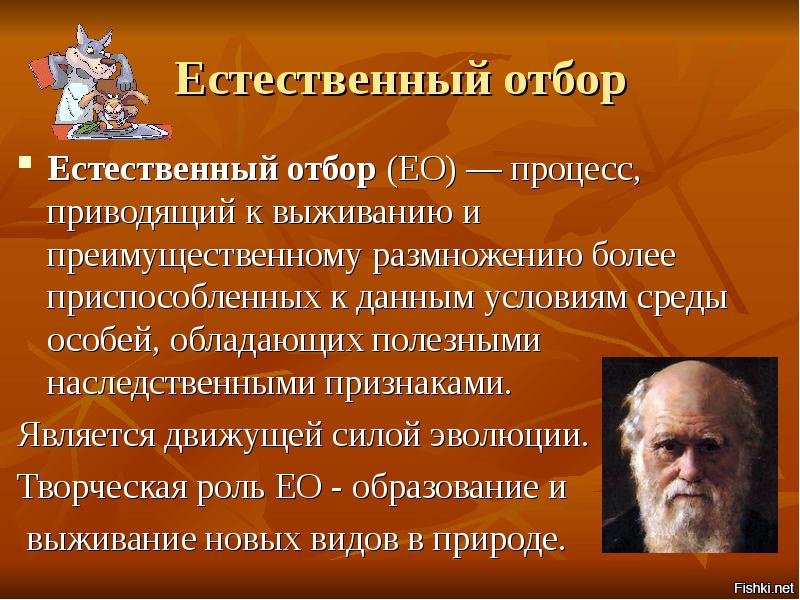 Смерть в прямом эфире: подруга выстрелила парню в голову во время видеотрансляции
