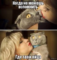 14 крутых способов украсить яйца на Пасху