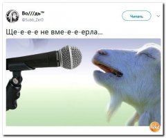 Финляндия разрешила строительство "Северного потока-2" на своей территории