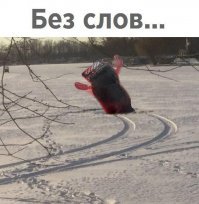 Смешные картинки с надписями