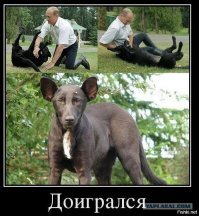 Культ личности - его портреты  от поклонников