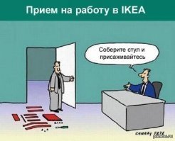 Эти плюшевые акулы из Икеи заполонили интернет. А всё потому что они живут на всю катушку!