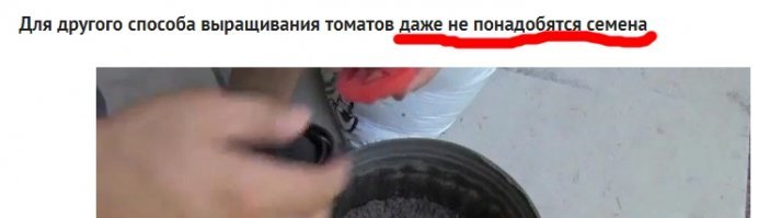 Это если из семян посадить.