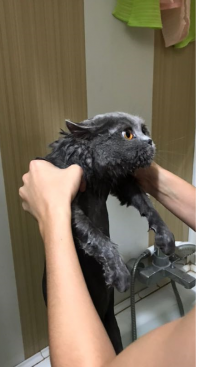 А дочь моет..Говорит пахнет.