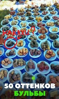 Что то тут подозрительное собрали.