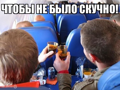 Пассажиров в московских аэропортах пообещали кормить за разумные деньги