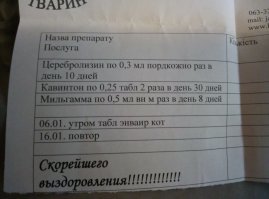 Ну у нашего осложнение было после гепатита, а назначения врача вот:
