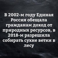 Россиянам разрешили собирать дровишки в лесу 