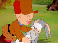 Спасение белочки, получившей удар током