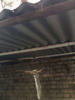 стесняюсь спросить..что это висит вообще