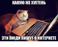 Советы холостяка со стажем, которые позволят улучшить вашу жизнь