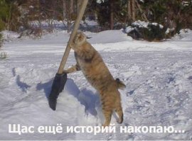 Будьте аккуратнее с соседями — иногда попадаются и такие