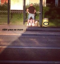 Они надеялись, что их не заметят. Что-то пошло не так