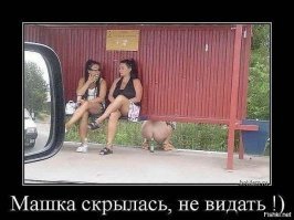 Они надеялись, что их не заметят. Что-то пошло не так