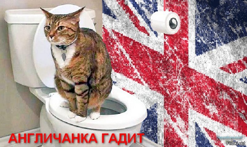 Мелкобритания еще. Как обычно "Англичанка гадит"