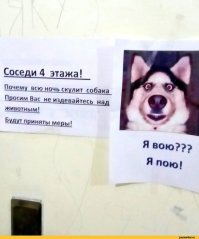 Собака использует пищащую игрушку в качестве музыкального инструмента