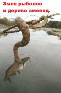 Чернушный юмор матери-природы