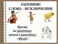 Белый медвежонок открывает купальный сезон