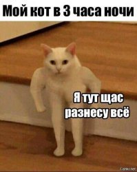 Смешные комментарии и высказывания из социальных сетей
