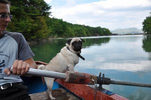 Греби нах, чучело колхозное.