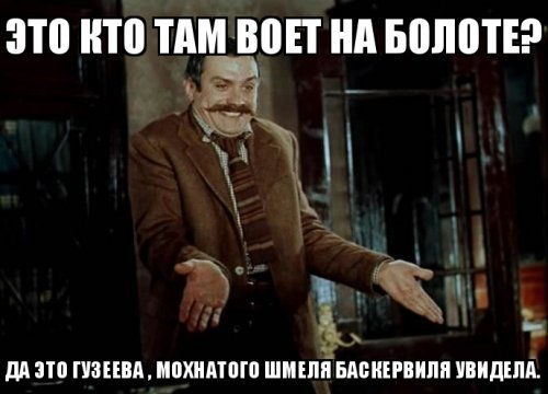 Двойной дебют в кино