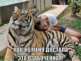 Подборка прикольных картинок
