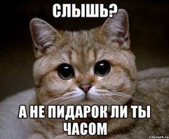 Смешные комментарии и высказывания из социальных сетей