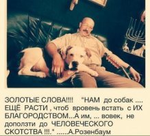 Трогательные фотографии, раскрывающие "совершенные несовершенства" спасенных собак